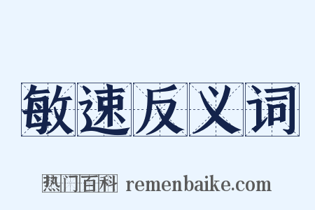 敏速反义词是什么意思的图片